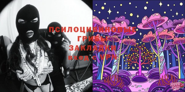 прущая мука Переславль-Залесский