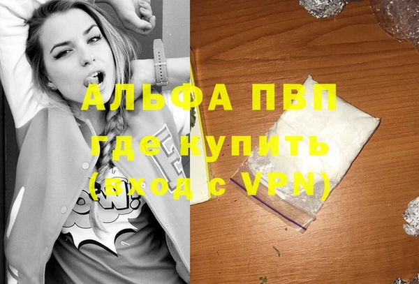 твердый Покачи