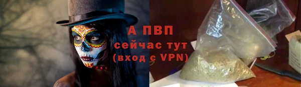 твердый Покачи