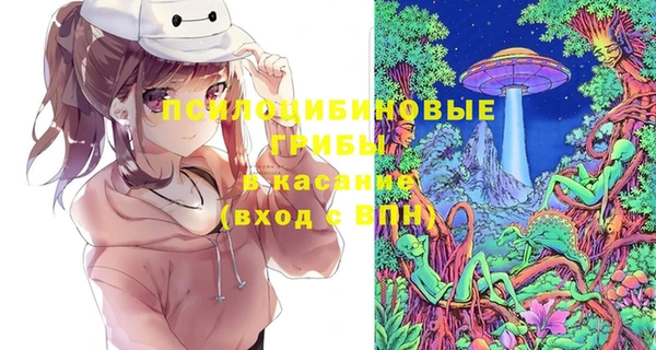 меф Пестово