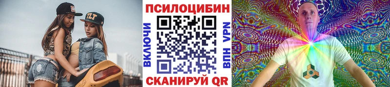 хочу   Борисоглебск  Галлюциногенные грибы Psilocybe 